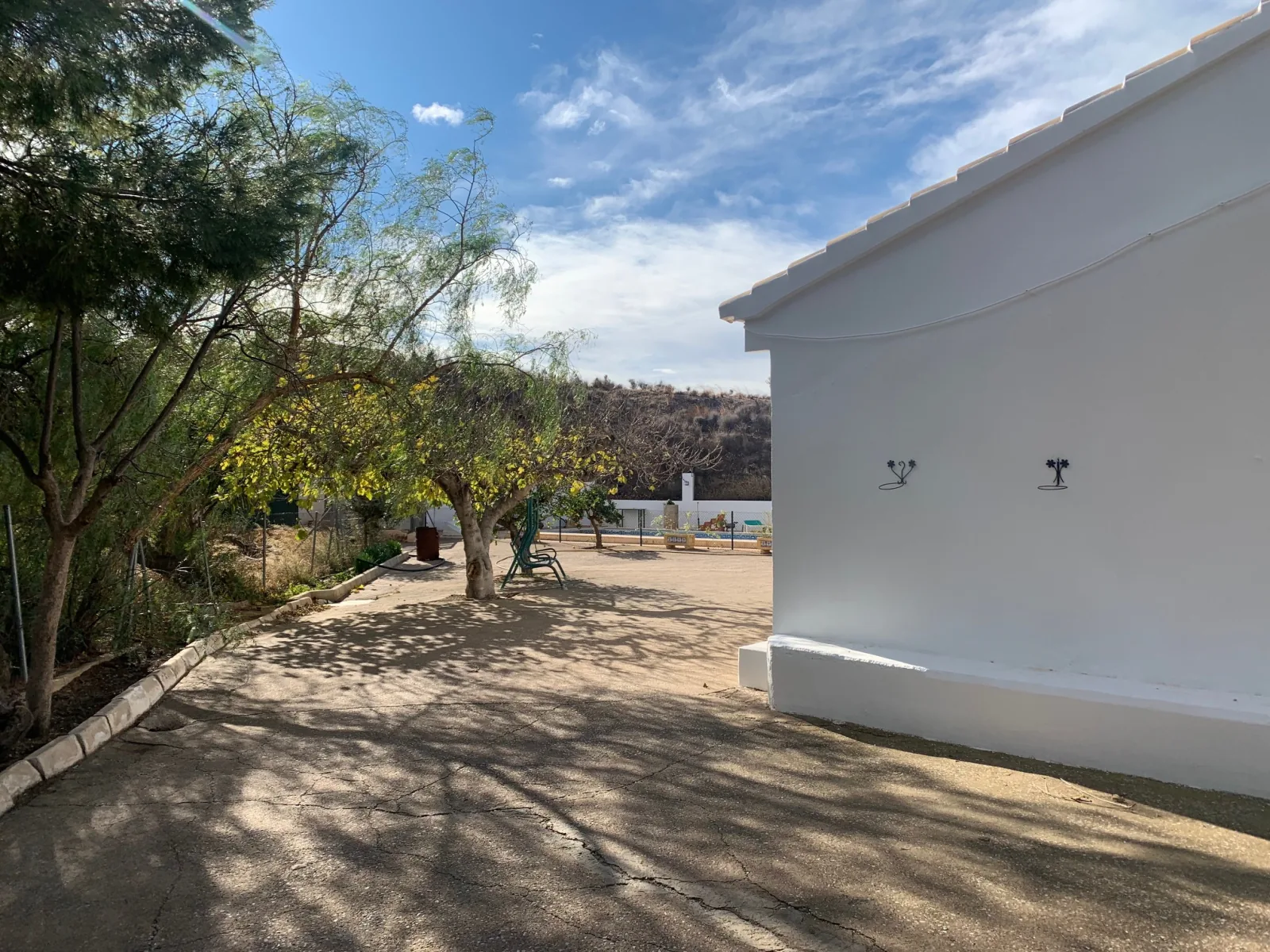 Olivos y frutales de la finca junto a la casa